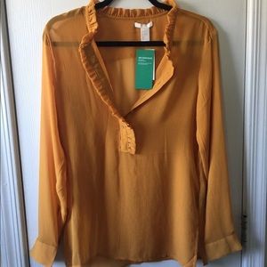 sheer long sleeved shirt